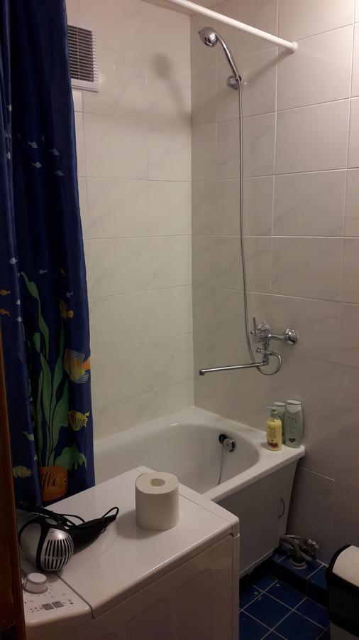 Grazinos Apartamentai Паневежис Экстерьер фото